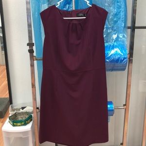 Dress From The Limited ✨